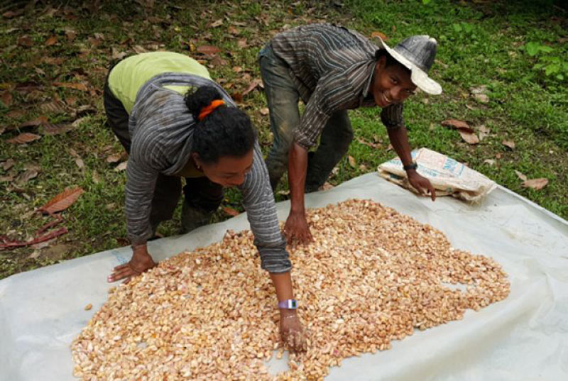 El Programa “El Buen Vivir” fortalecerá capacidades productivas en La Mosquitia