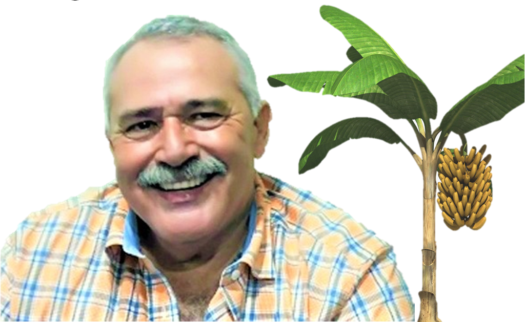 Óscar Nájera: “Cuando muera quiero que en mi tumba siembren una mata de plátano para que me la sigan pelando toda la vida” Óscar Nájera: “Cuando muera quiero que en mi tumba siembren una mata de plátano para que me la sigan pelando toda la vida”