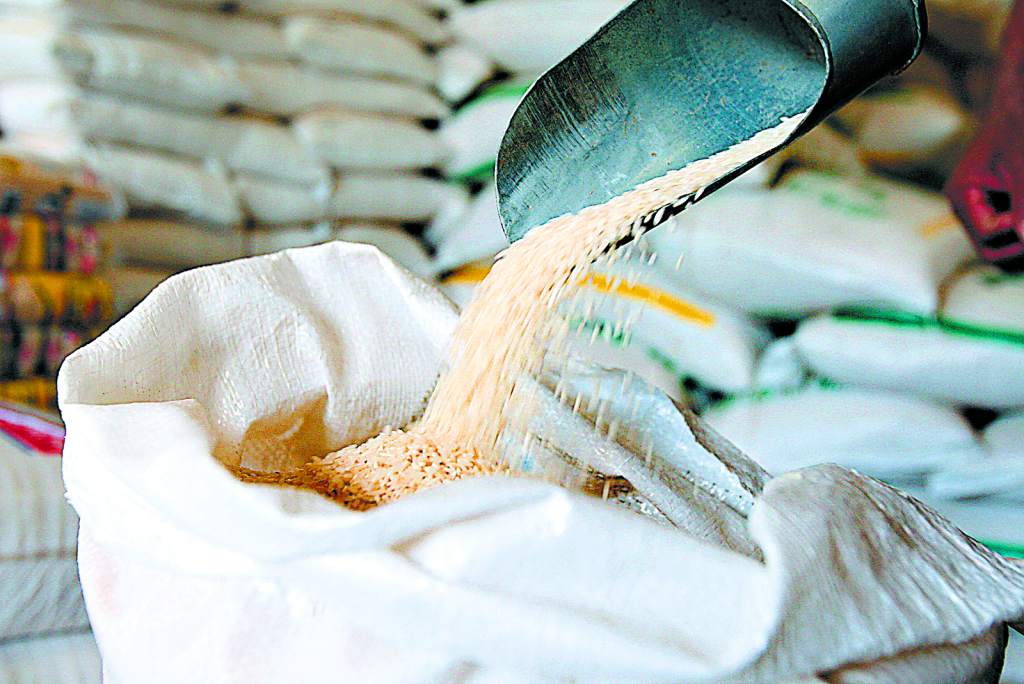 Ministro de la SAG:   «Gobierno no ha comprado 51 mil toneladas de arroz» 