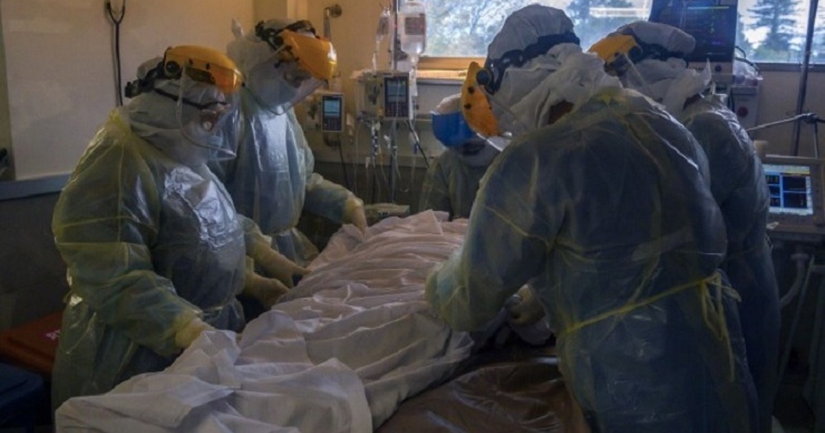 Detectan caso de «misterioso hongo negro» en Uruguay