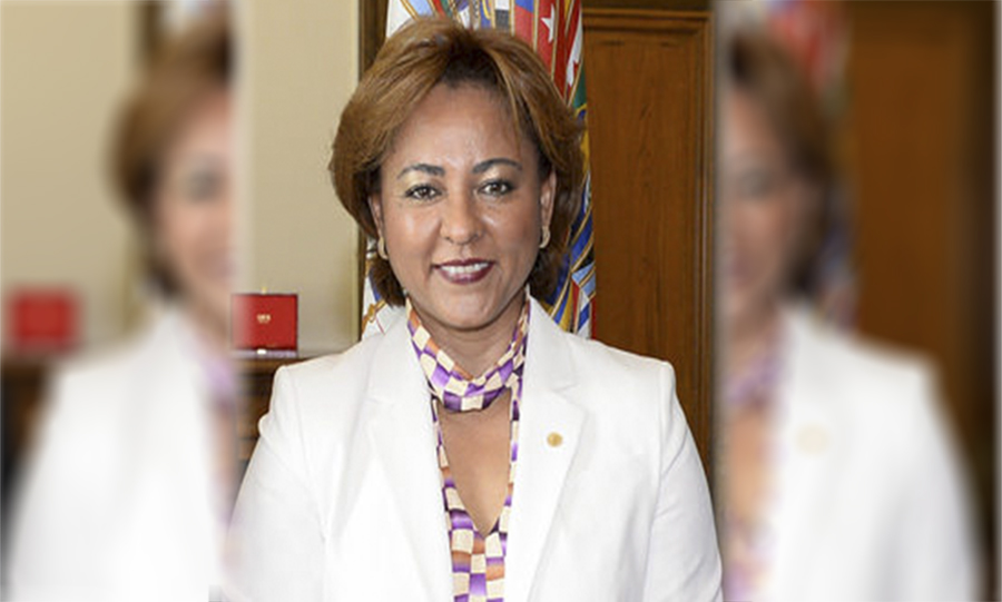 Ex designada Lorena Herrera es la candidata presidencial por la alianza “Todos por el Cambio”