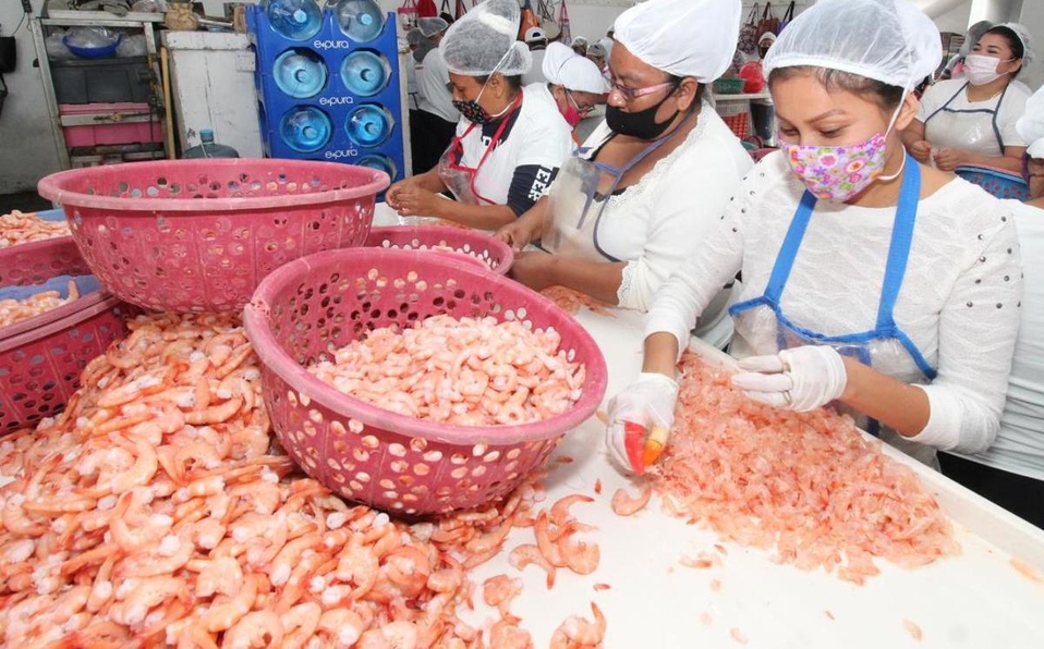 Más de 23 millones de libras de camarón se han exportado a pesar de la pandemia