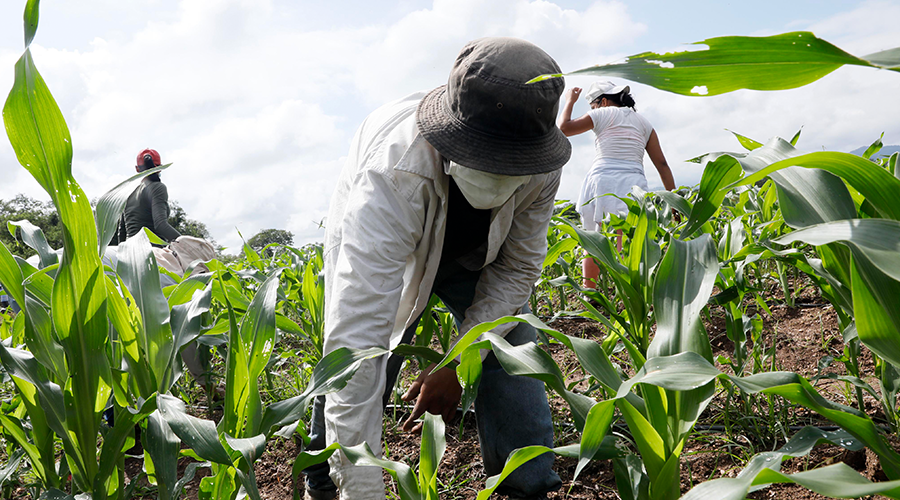 Ministro de la SAG La UE apoyará con 74 millones de euros para seis cadenas productivas