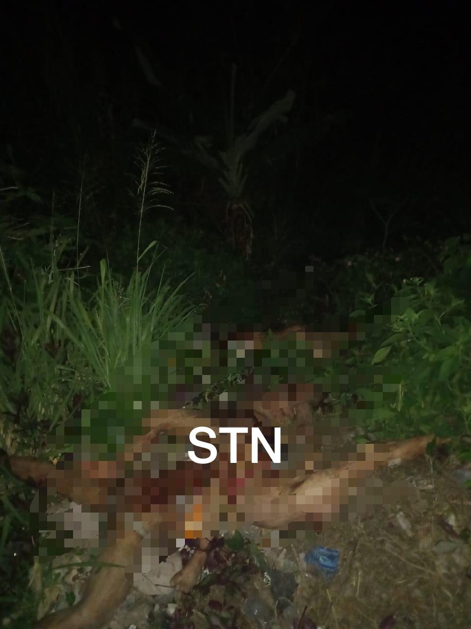 ¡MASACRE!  Cuatro personas son encontradas  asesinadas en un sector de la capital.