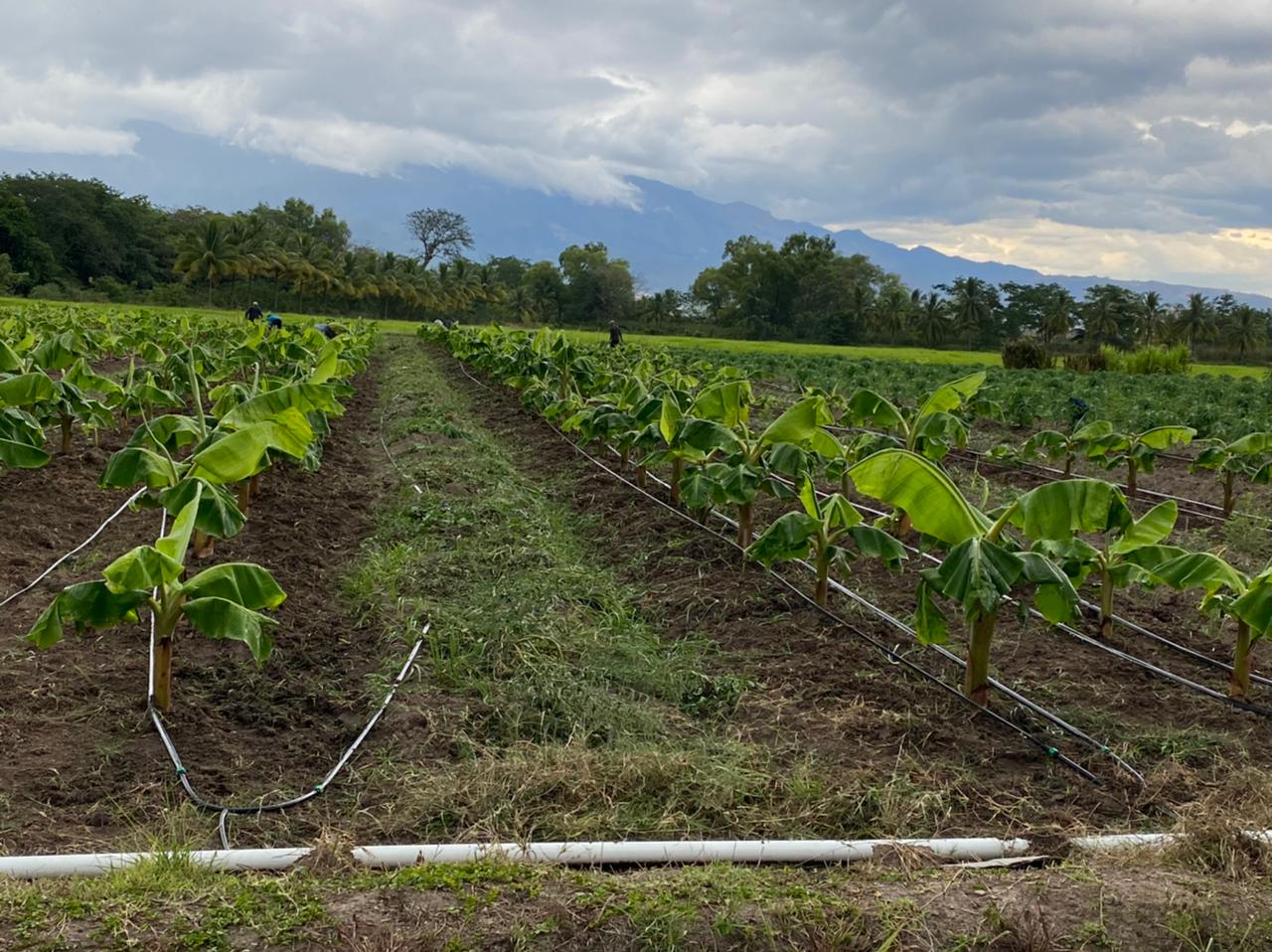 SCITA iniciará promoción de oferta académica para el 2022