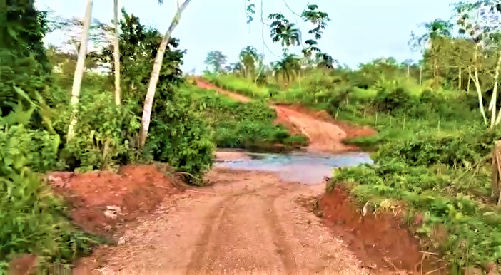 Miskitos desmiente que carretera esté en la biósfera del Río Plátano y sea utilizada para la narcoactividad