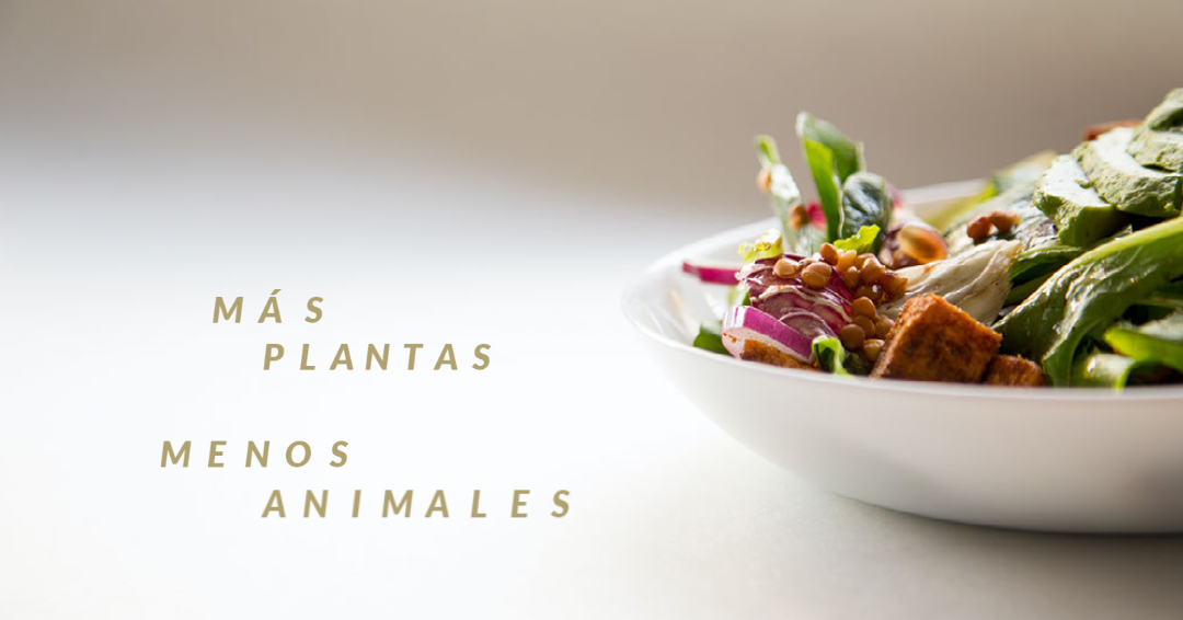 Comer más plantas y menos animales