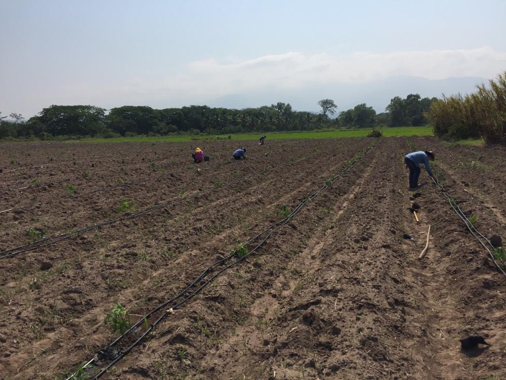 Se reanudan actividades de cooperación entre México y SCITA Se reanudan actividades de cooperación entre México y SCITA