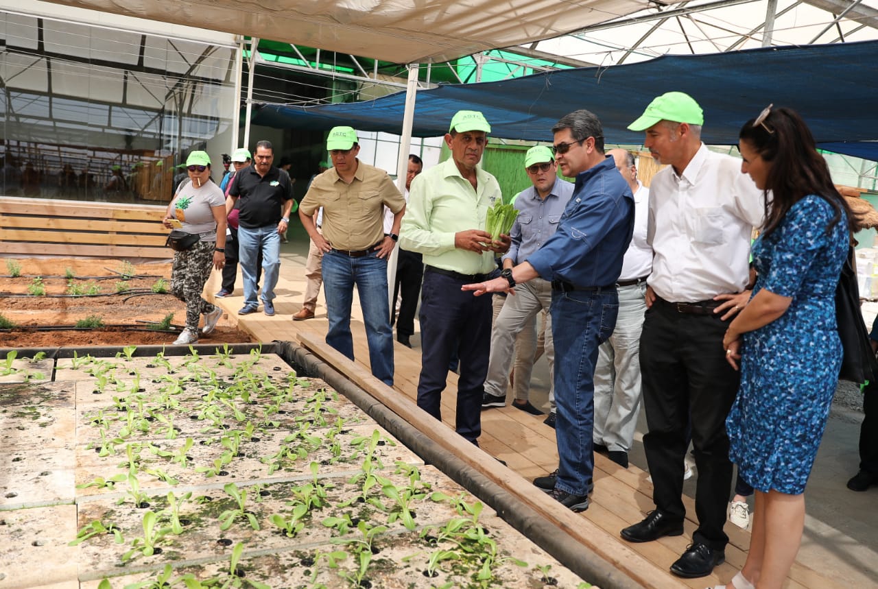Presidente Hernández suscribirá con Israel un convenio en materia de agricultura