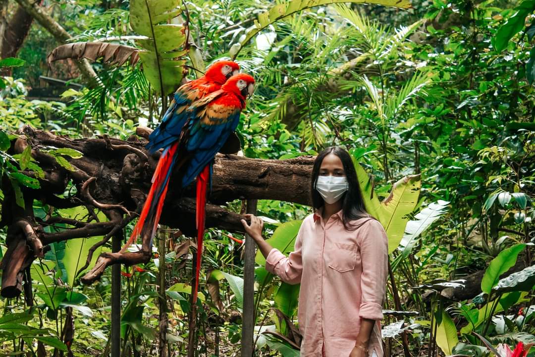 Este fin de semana se realizará el ‘Guacamaya Fest’ en Copán Ruinas