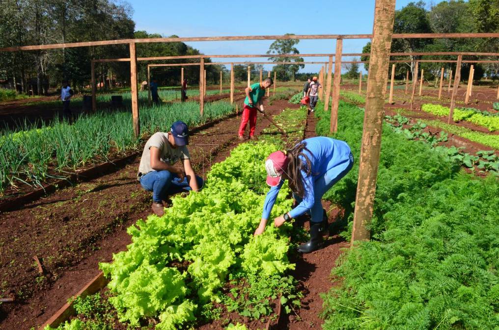 Israel construirá tres proyectos de escuelas agrícolas en el país Israel construirá tres proyectos de escuelas agrícolas en el país