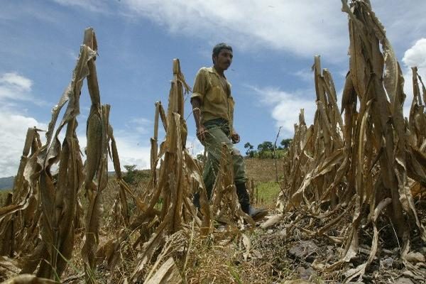 Francisco Argeñal: «Junio dejará pocas lluvias en el corredor seco» Francisco Argeñal: «Junio dejará pocas lluvias en el corredor seco»