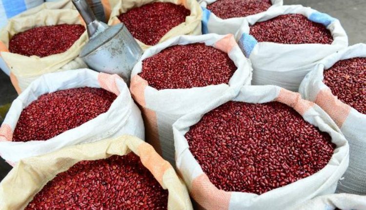 Ministro de la SAG:   «Reserva de 74 mil quintales de frijol garantiza abastecimiento»    