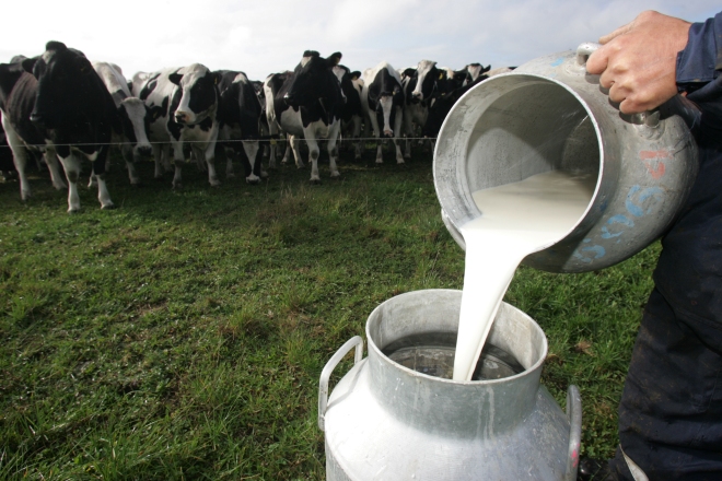 Productor olanchano: Acuerdo sobre el precio de la leche llena nuestras expectativas   