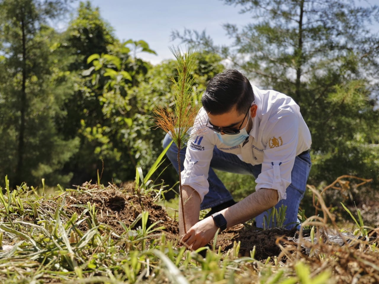 Gobierno proyecta al 2030 reforestar un millón de hectáreas de bosque Gobierno proyecta al 2030 reforestar un millón de hectáreas de bosque