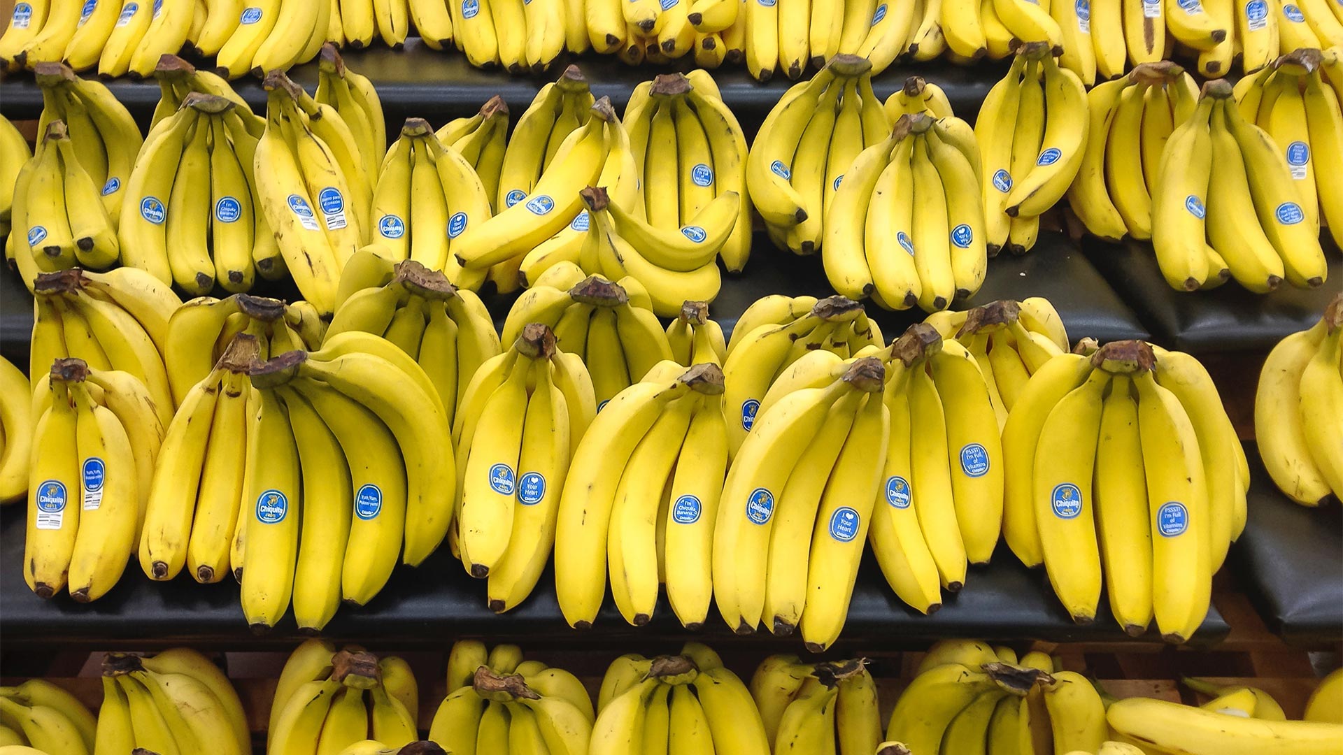 Unos $350 millones en divisas generará exportación de banano este 2021