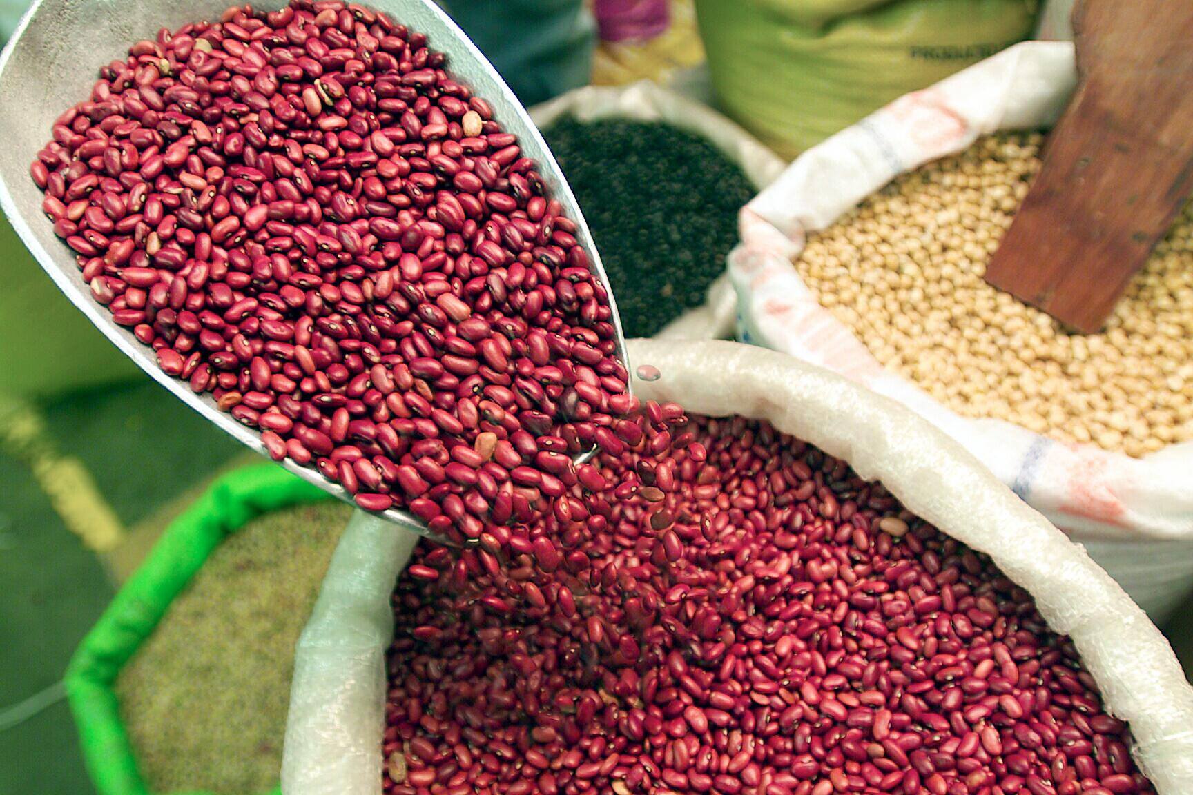 Se mantiene precio del frijol y el maíz baja en los principales mercados de la capital