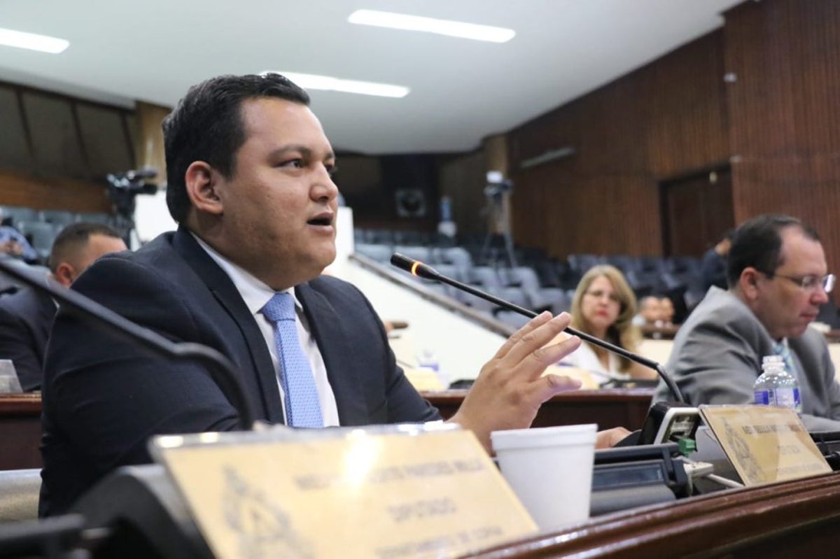 Diputado Samir Molina «Estamos listos para aprobar el presupuesto al CNE y tener elecciones limpias y transparentes»