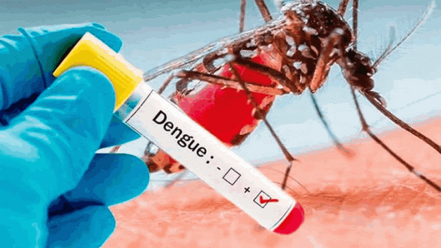 En un 300% han incrementado los casos de dengue en la capital según pediatra