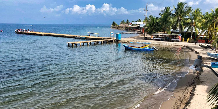 Diputado Villeda afirma que nuevo puerto en Omoa «viola» contrato con OPC