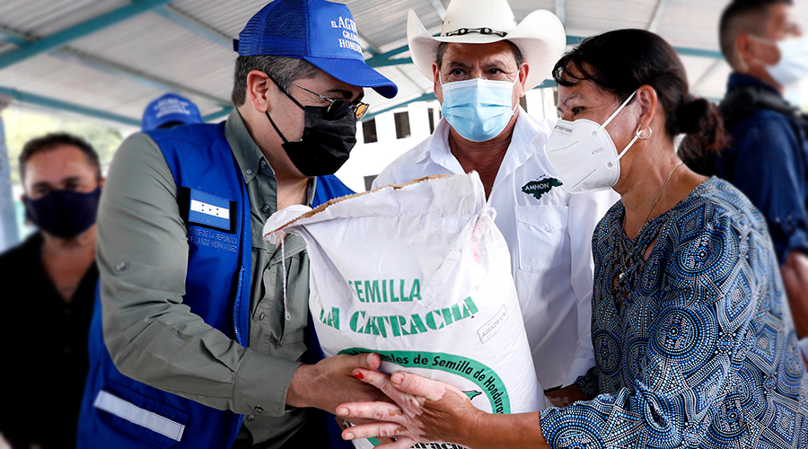 140 mil agricultores reciben Bono de Solidaridad Productiva   