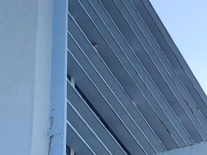 Mujer positiva de Covid-19  intenta lanzarse del sexto piso del IHSS en la capital