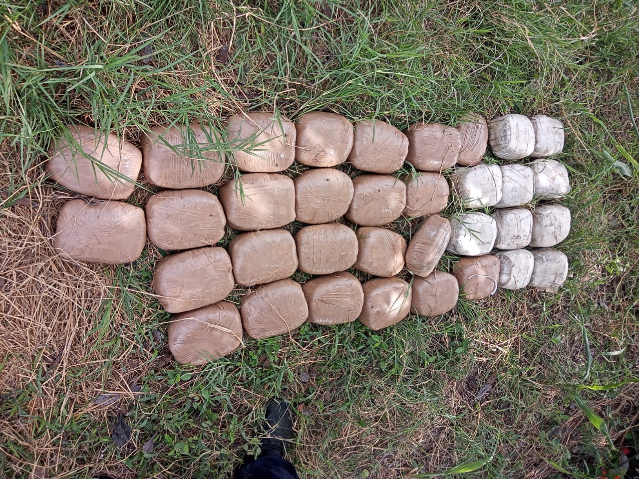 Decomisan 75 libras de supuesta marihuana propiedad de la pandilla 18 en La Lima