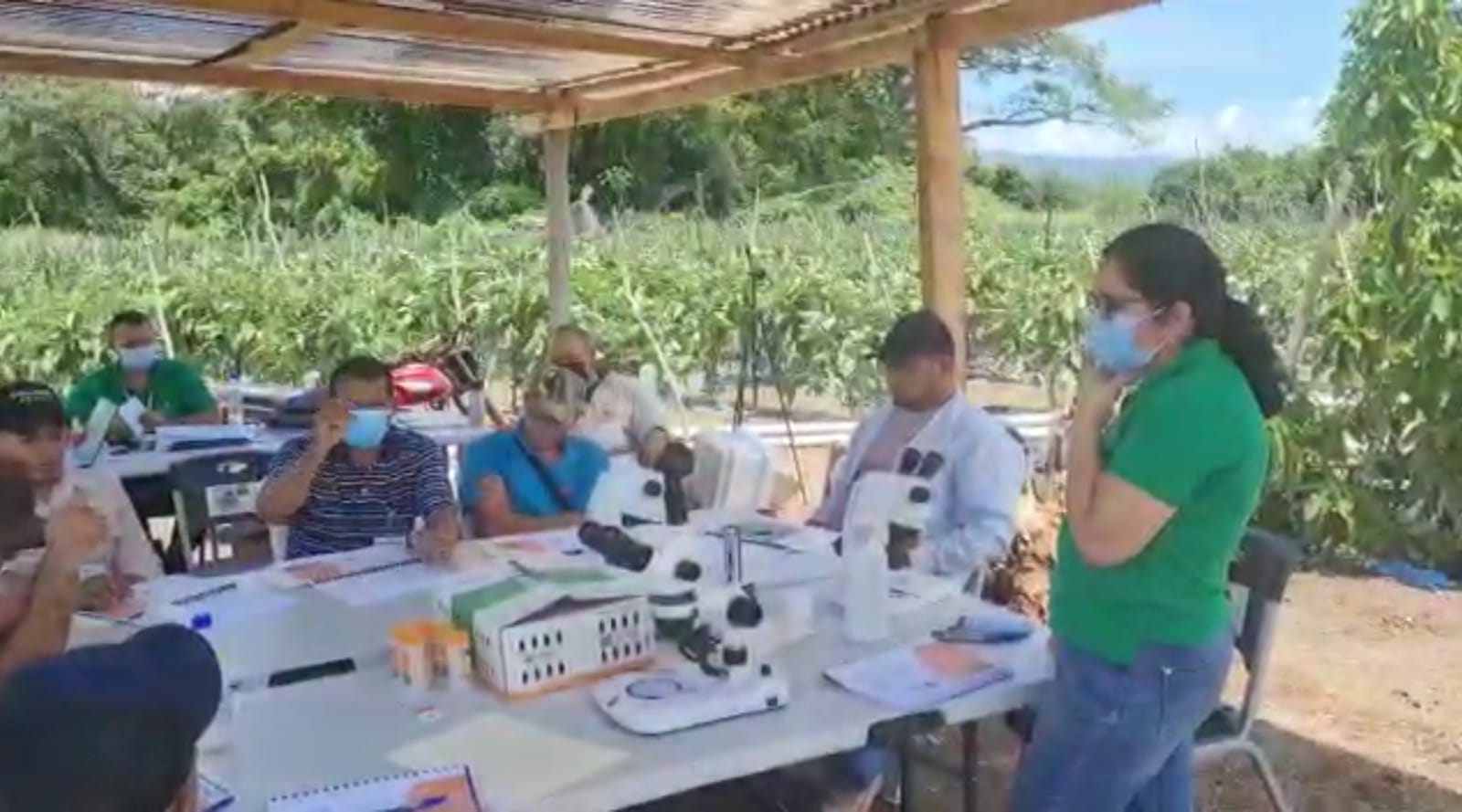 En Comayagua productores de vegetales orientales son capacitados en control de plagas con biotecnología En Comayagua productores de vegetales orientales son capacitados en control de plagas con biotecnología