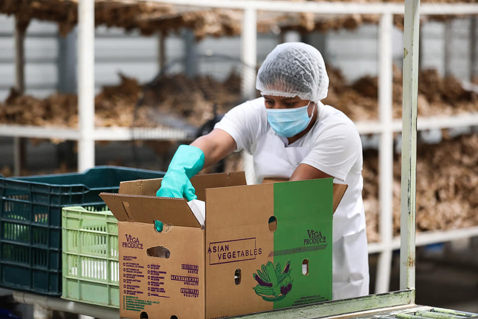 Presidente de la CCIC: El sector productivo debe ser priorizado en el próximo presupuesto de la República Presidente de la CCIC: El sector productivo debe ser priorizado en el próximo presupuesto de la República