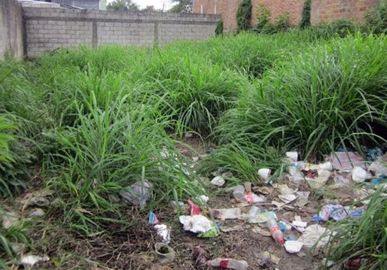 AMDC anuncia multas para quienes mantengan solares baldíos sucios