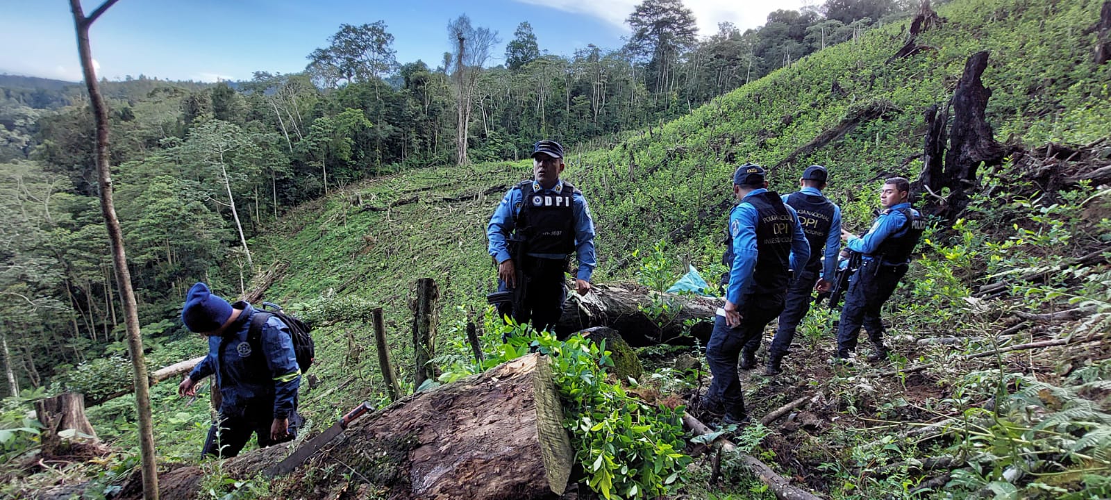 Localizan y desmantelan narco laboratorio con 25,000 plantas de supuesta cocaína en Trojes, El Paraíso. Localizan y desmantelan narco laboratorio con 25,000 plantas de supuesta cocaína en Trojes, El Paraíso.