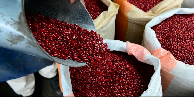 Cámara del Frijol: Ofrecen al IHMA 280 mil quintales de granos  