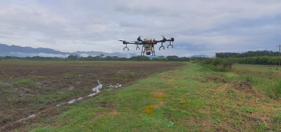 Con drones realizan diferentes labores en las áreas de cultivo en el SCITA