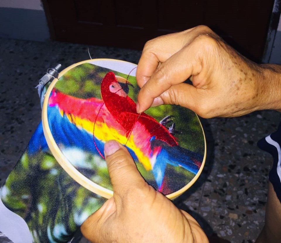 Ave nacional de Honduras destaca en atuendo de primera dama Ave nacional de Honduras destaca en atuendo de primera dama