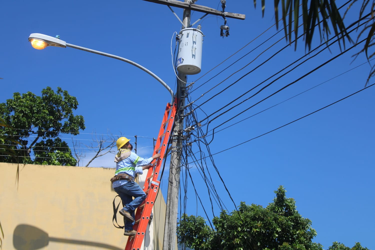 La ENEE pierde L 420 millones mensuales por hurto de energía, según informe de la ASJ