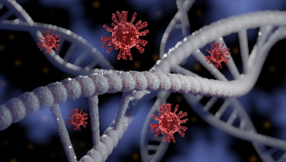 Descubren un anticuerpo ultrapotente contra las diferentes variantes del coronavirus