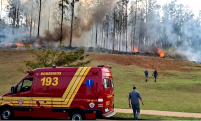 Siete muertos deja accidente aéreo en Brasil, entre ellos un empresario, su esposa y sus tres hijos Siete muertos deja accidente aéreo en Brasil, entre ellos un empresario, su esposa y sus tres hijos