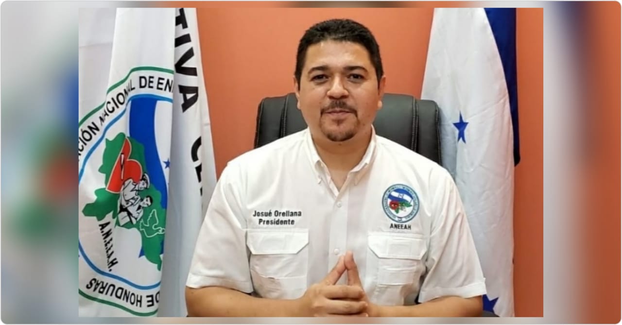 Presidente ANEEAH: «Desconozco que exista otra asociación de enfermeras lo cual es preocupante» Presidente ANEEAH: «Desconozco que exista otra asociación de enfermeras lo cual es preocupante»