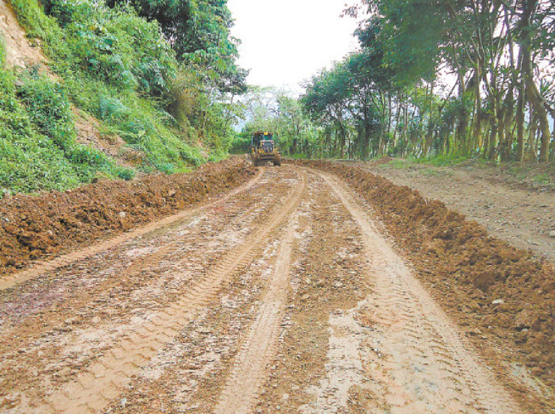 Mario Segura: L.105 millones se han destinado para reparación vías de acceso a fincas de café
