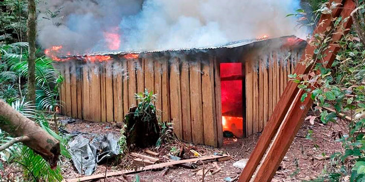 Destruyen narcolaboratorio y arrestan a 63 personas por diferentes delitos en El Paraíso