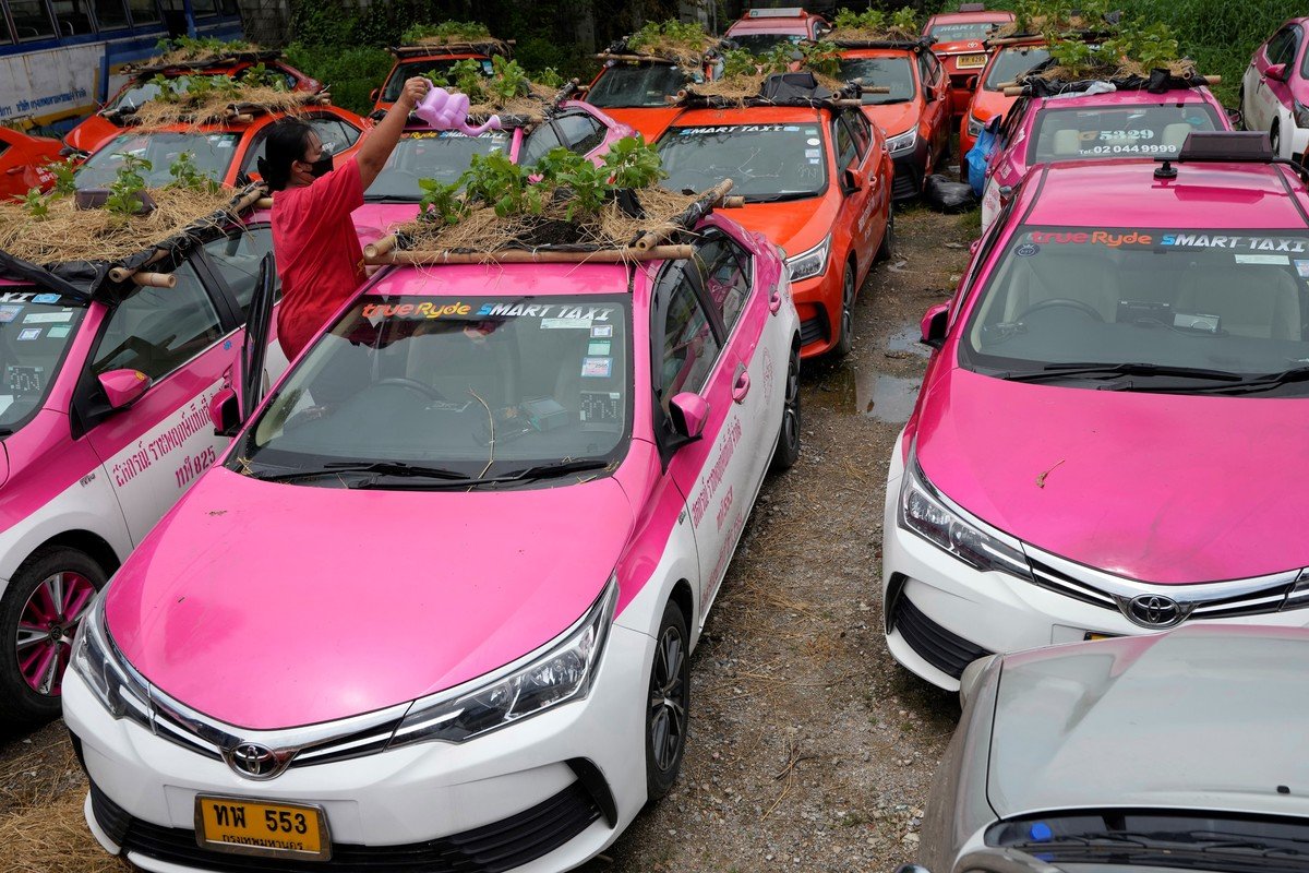 Como un acto de protesta taxistas en Tailandia plantan vegetales en los techos de sus autos Como un acto de protesta taxistas en Tailandia plantan vegetales en los techos de sus autos