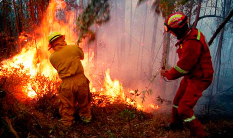 ICF:   78% bajan incendios forestales este año  