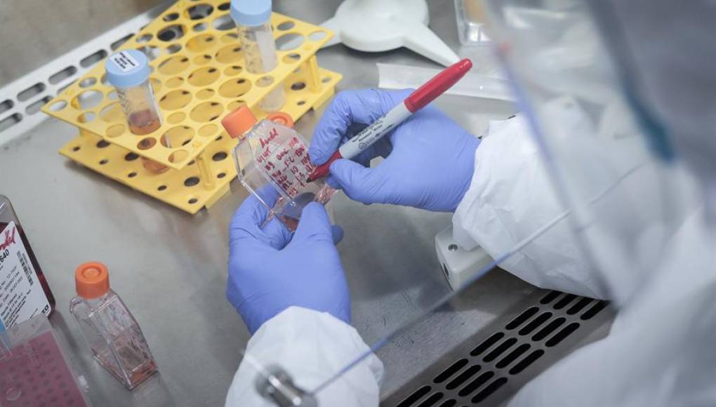 Detectan una descendiente de la variante delta que podría ser más contagiosa Detectan una descendiente de la variante delta que podría ser más contagiosa