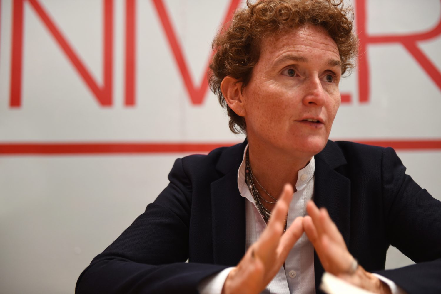 Cordinadora de la ONU: Respeto y tolerancia deben primar en proceso electoral de Honduras