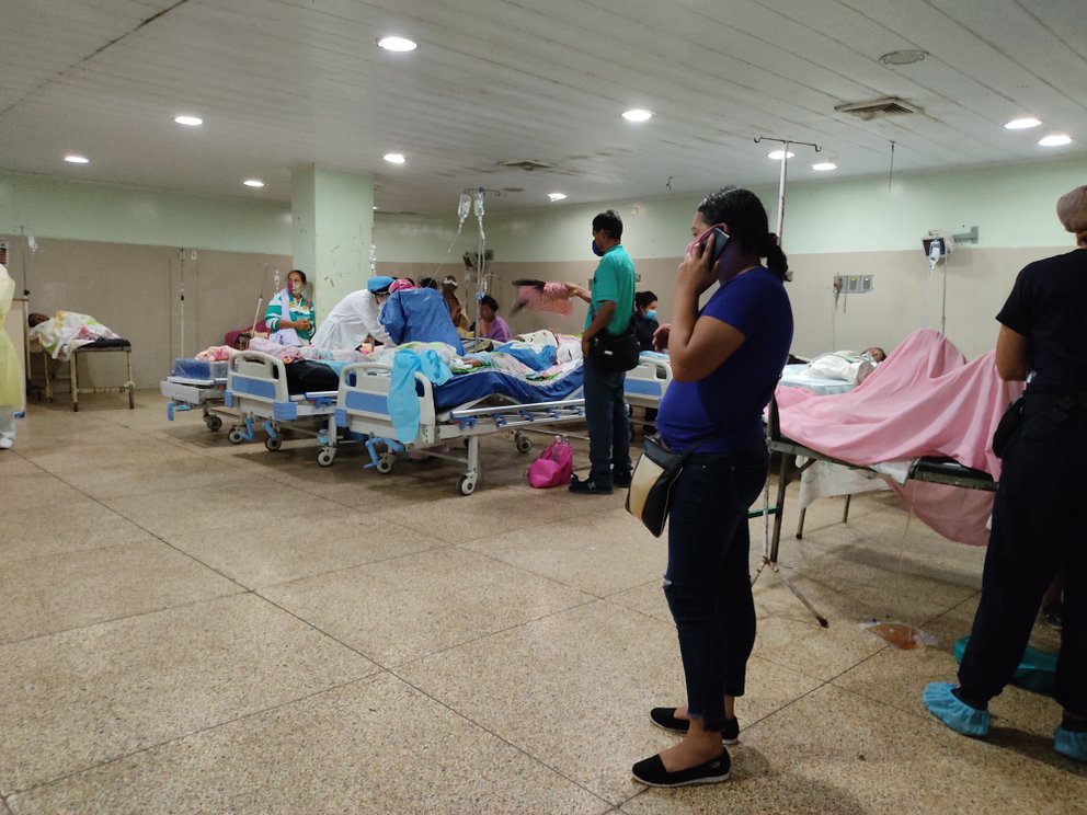 La OMS confirmó que hay un brote de fiebre amarilla en Venezuela