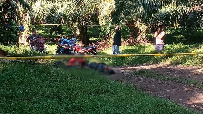 Nueva masacre cobra la vida de tres personas en en la aldea Ceibita en Tocoa, Colón