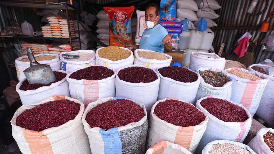 Producción de frijol, maíz y arroz superará los 19 millones de quintales este año, según la SAG Producción de frijol, maíz y arroz superará los 19 millones de quintales este año, según la SAG