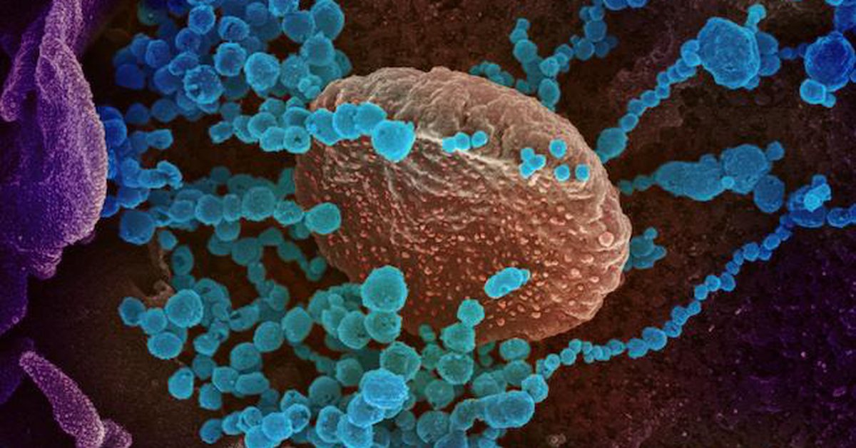 Detectan en Tokio el primer caso de síndrome anal inquieto como consecuencia del Covid-19