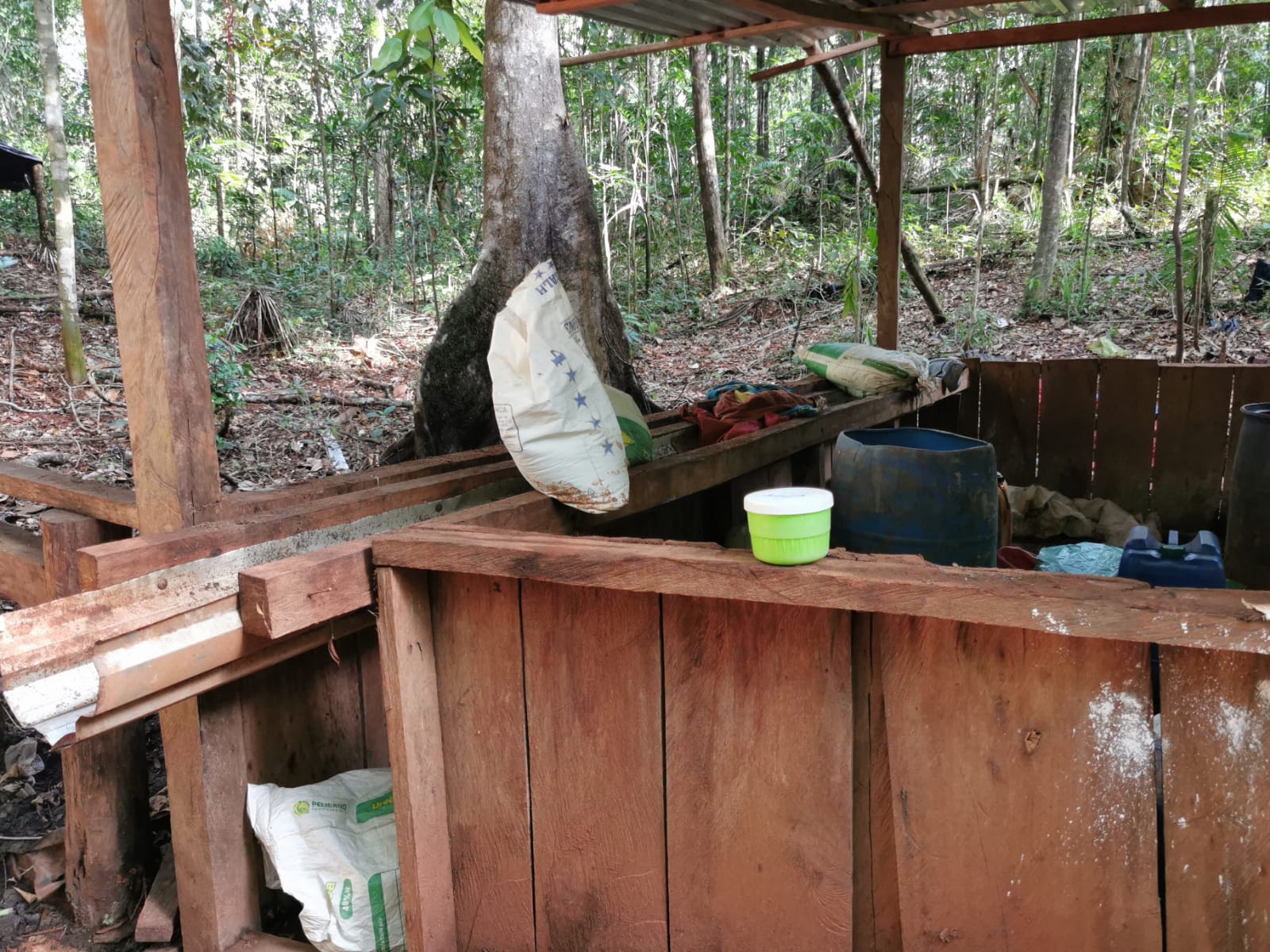 Desmantelan dos narco laboratorios y diez manzanas de plantación de hoja de coca en Iriona, Colón Desmantelan dos narco laboratorios y diez manzanas de plantación de hoja de coca en Iriona, Colón