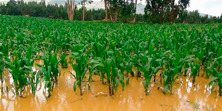 América Latina toma acciones para mitigar el impacto de desastres América Latina toma acciones para mitigar el impacto de desastres